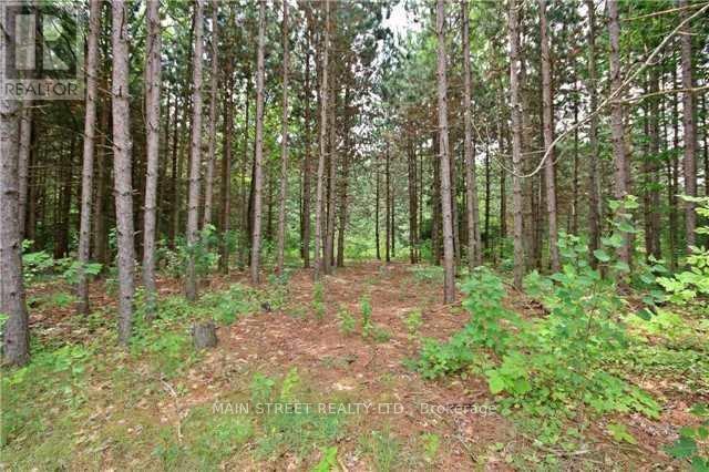 2947 Twelfth Line, Bradford West Gwillimbury, Ontario  L3Z 2A5 - Photo 8 - N8092190