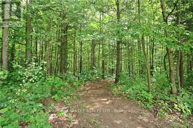 2947 Twelfth Line, Bradford West Gwillimbury, Ontario  L3Z 2A5 - Photo 9 - N8092190