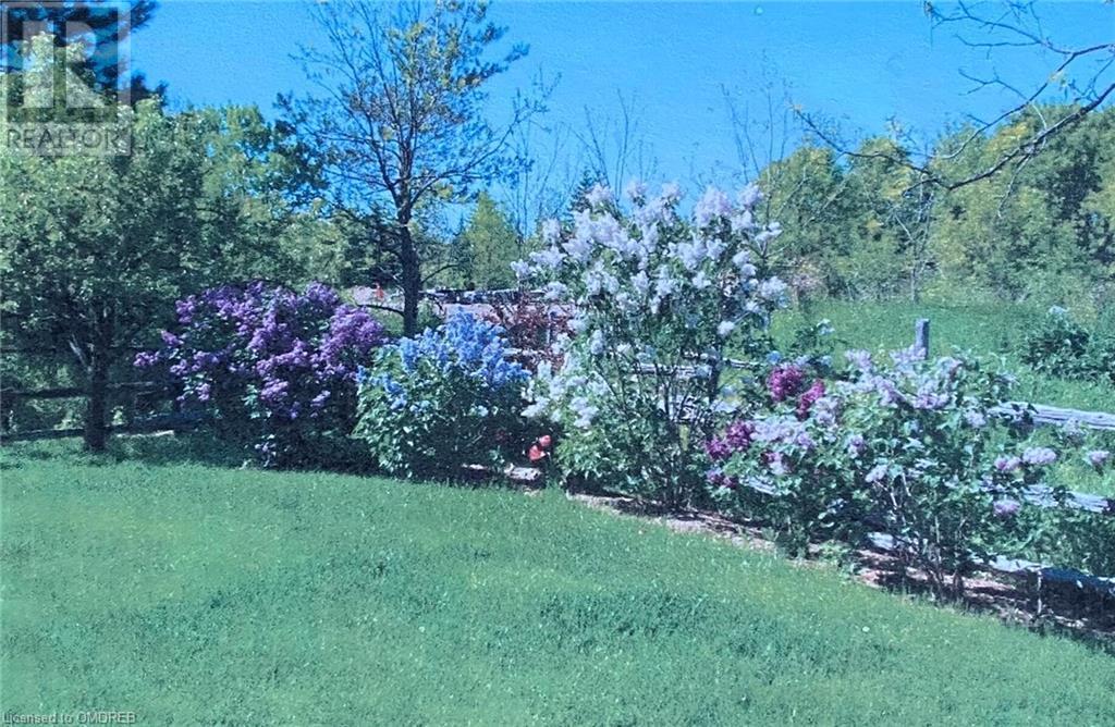 10315 Winston Churchill Boulevard, Brampton, Ontario  L7A 0A4 - Photo 41 - 40541725