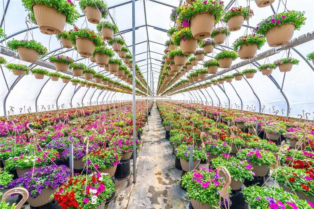 220 Read Road, St. Catharines, Ontario  L2R 7K6 - Photo 36 - H4189023