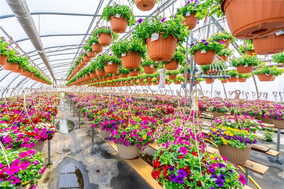 220 Read Road, St. Catharines, Ontario  L2R 7K6 - Photo 39 - H4189023