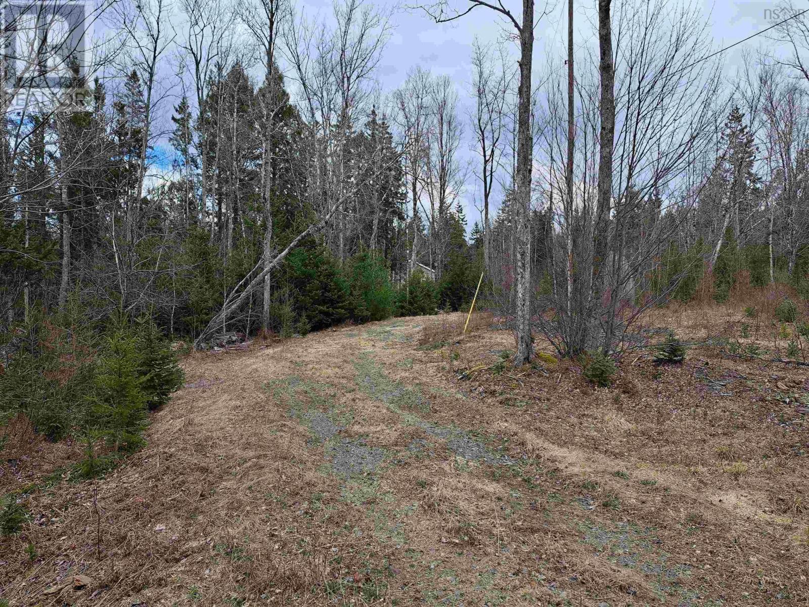 8860 Moose River Road, Lindsay Lake, Nova Scotia  B0N 1X0 - Photo 1 - 202405781