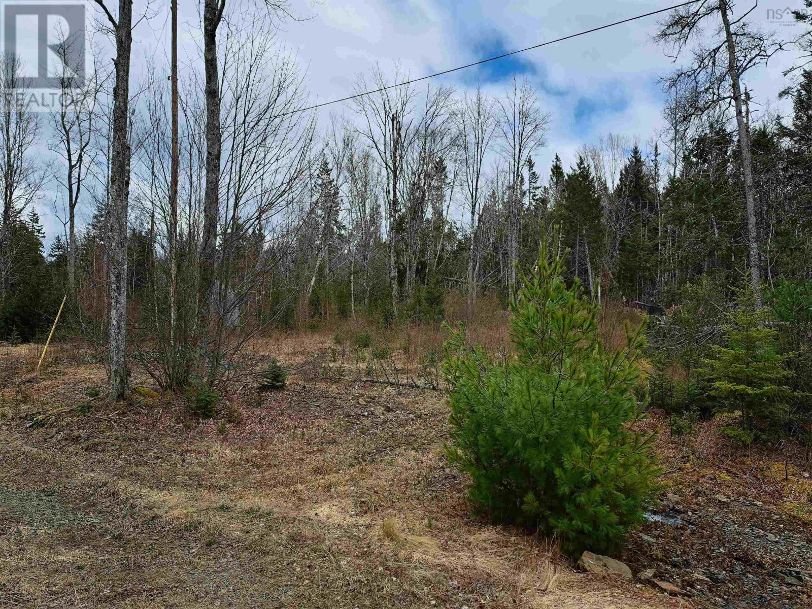 8860 Moose River Road, Lindsay Lake, Nova Scotia  B0N 1X0 - Photo 2 - 202405781