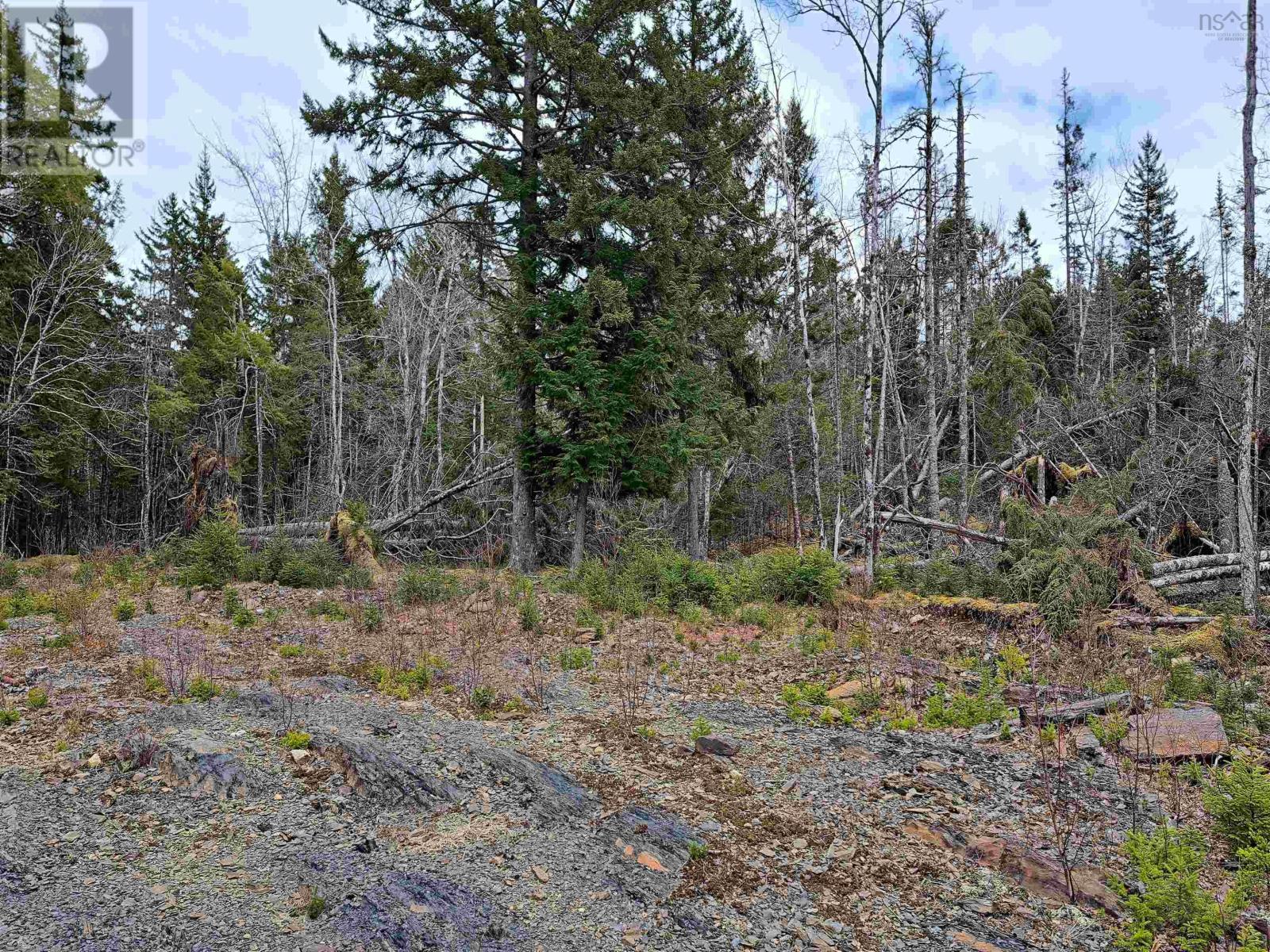 8860 Moose River Road, Lindsay Lake, Nova Scotia  B0N 1X0 - Photo 20 - 202405781