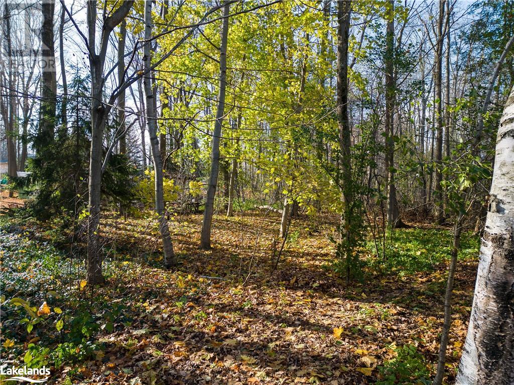 371 Eliza Street, Meaford, Ontario  N4L 1B2 - Photo 36 - 40564398