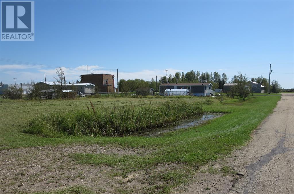 Lorem Ipsum Do, Gadsby, Alberta  T0C  - Photo 6 - DEMO25437200
