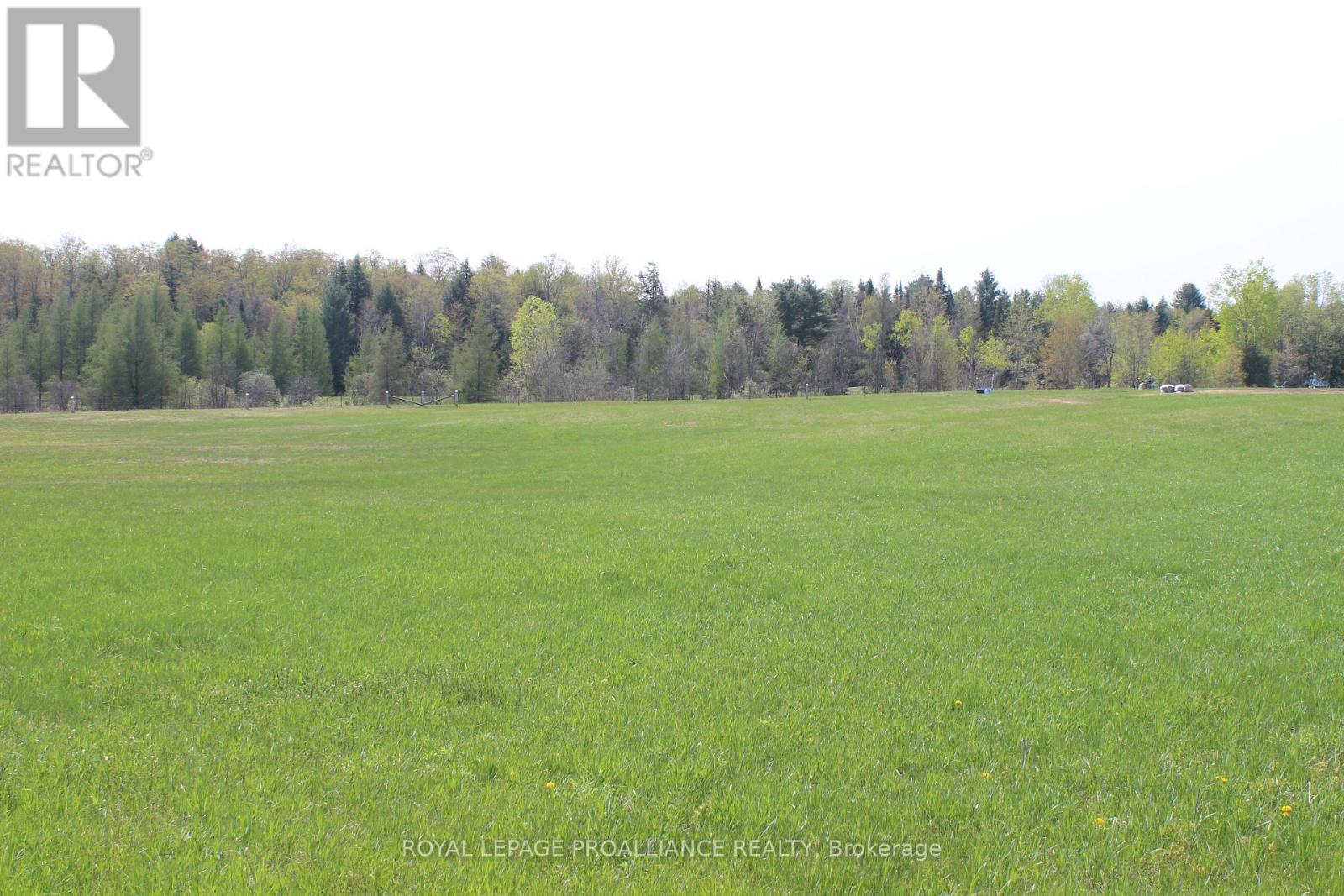 1226 Gull Lake Rd, North Frontenac, Ontario  K0H 1B0 - Photo 4 - X8188674
