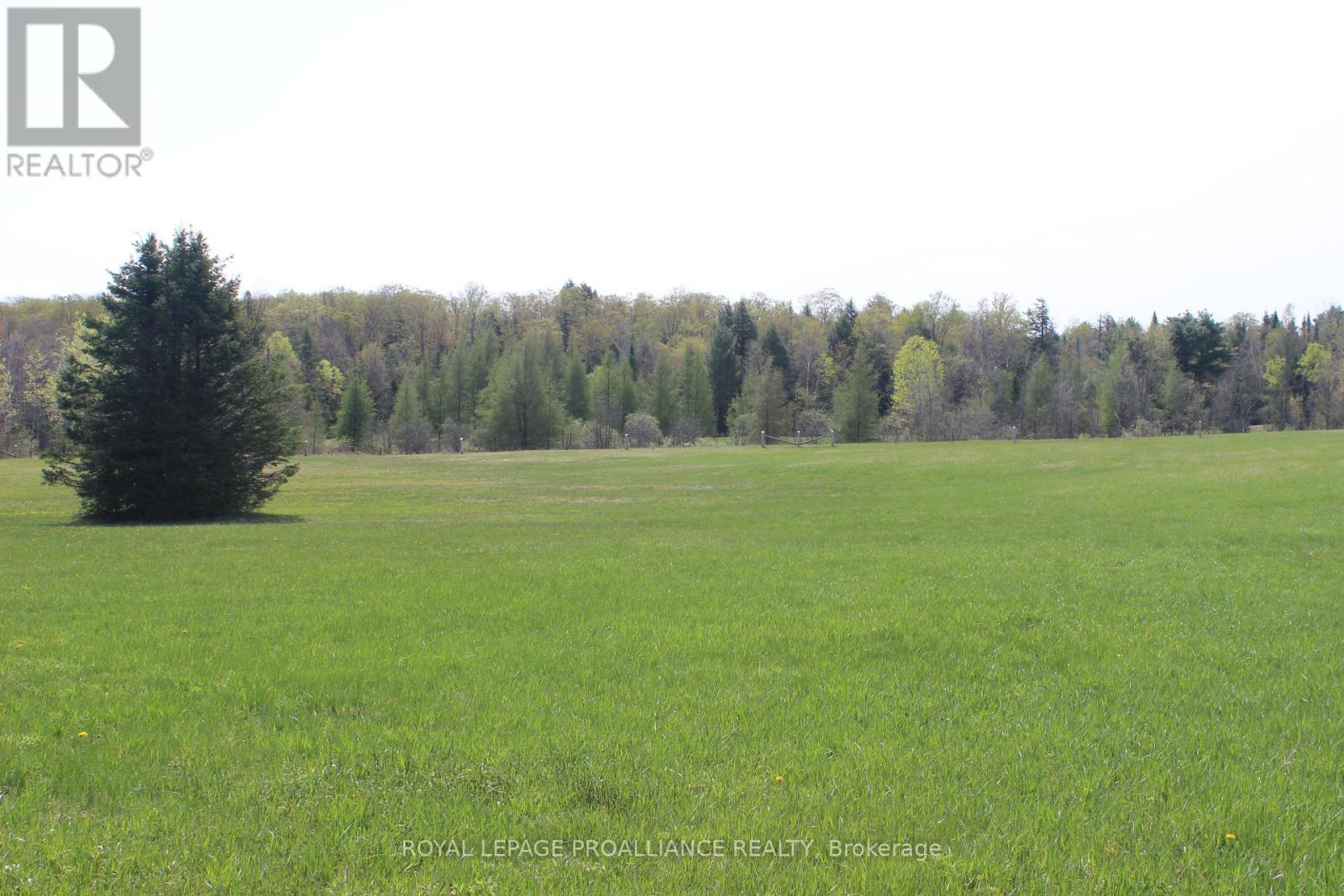 1226 Gull Lake Rd, North Frontenac, Ontario  K0H 1B0 - Photo 5 - X8188674