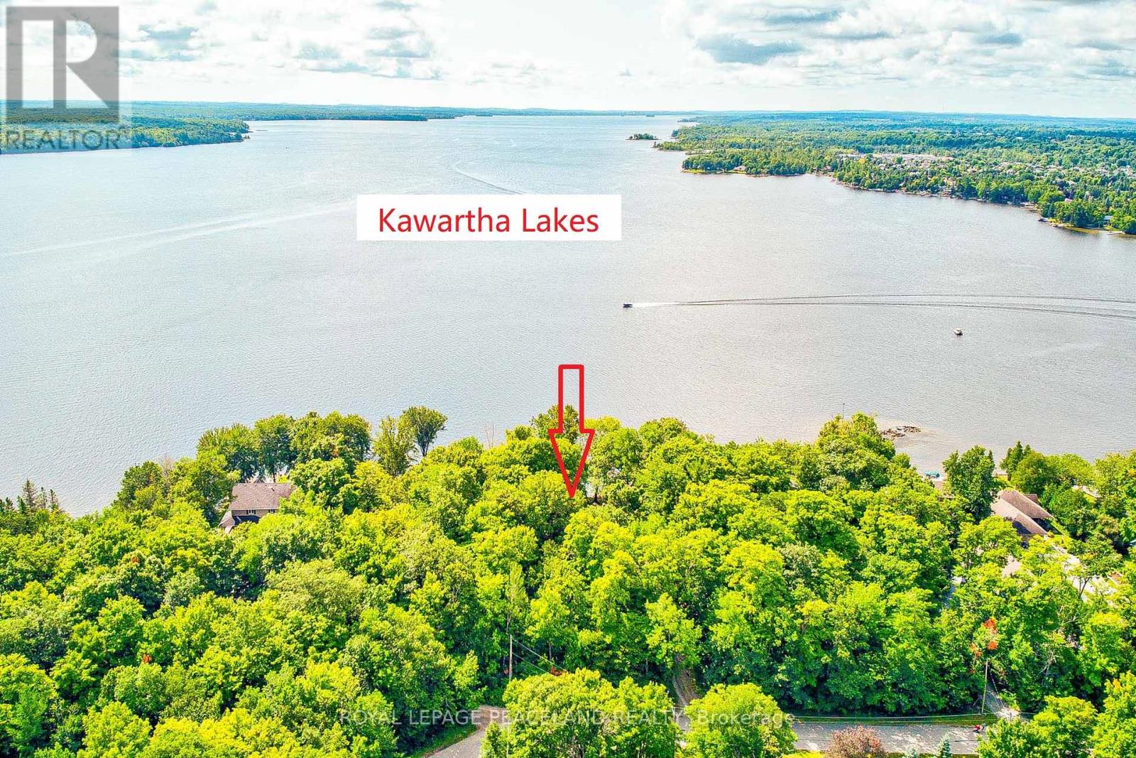 317 Riverside Dr, Kawartha Lakes, Ontario  K0M 1A0 - Photo 5 - X8188494