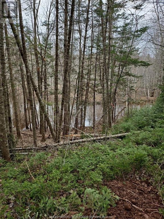 Lot Route 112, Hunter's Home, New Brunswick  E4Z 6B6 - Photo 4 - M158318