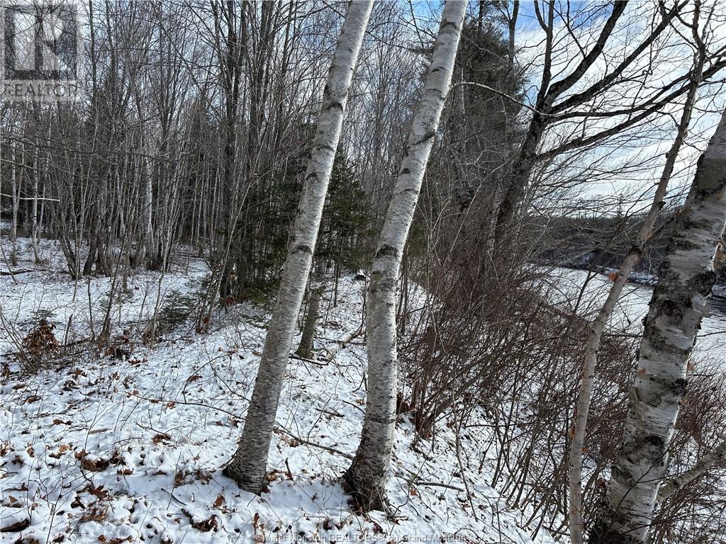 Lot Route 112, Hunter's Home, New Brunswick  E4Z 6B6 - Photo 2 - M158318