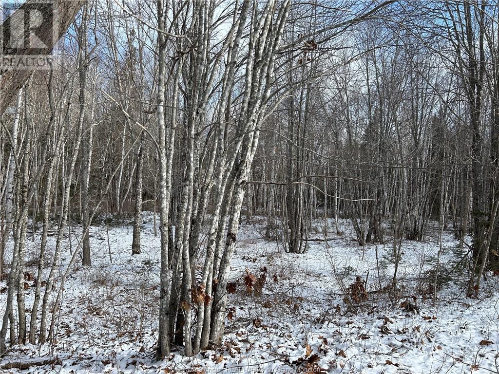 Lot Route 112, Hunter's Home, New Brunswick  E4Z 6B6 - Photo 3 - M158318