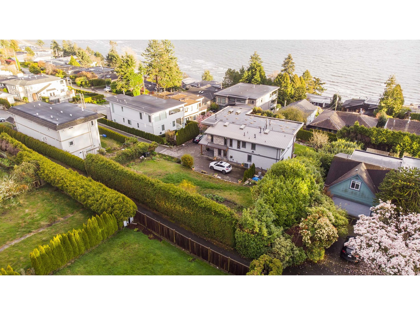 Listing Picture 6 of 11 : 1393 KERFOOT ROAD, White Rock - 魯藝地產 Yvonne Lu Group - MLS Medallion Club Member
