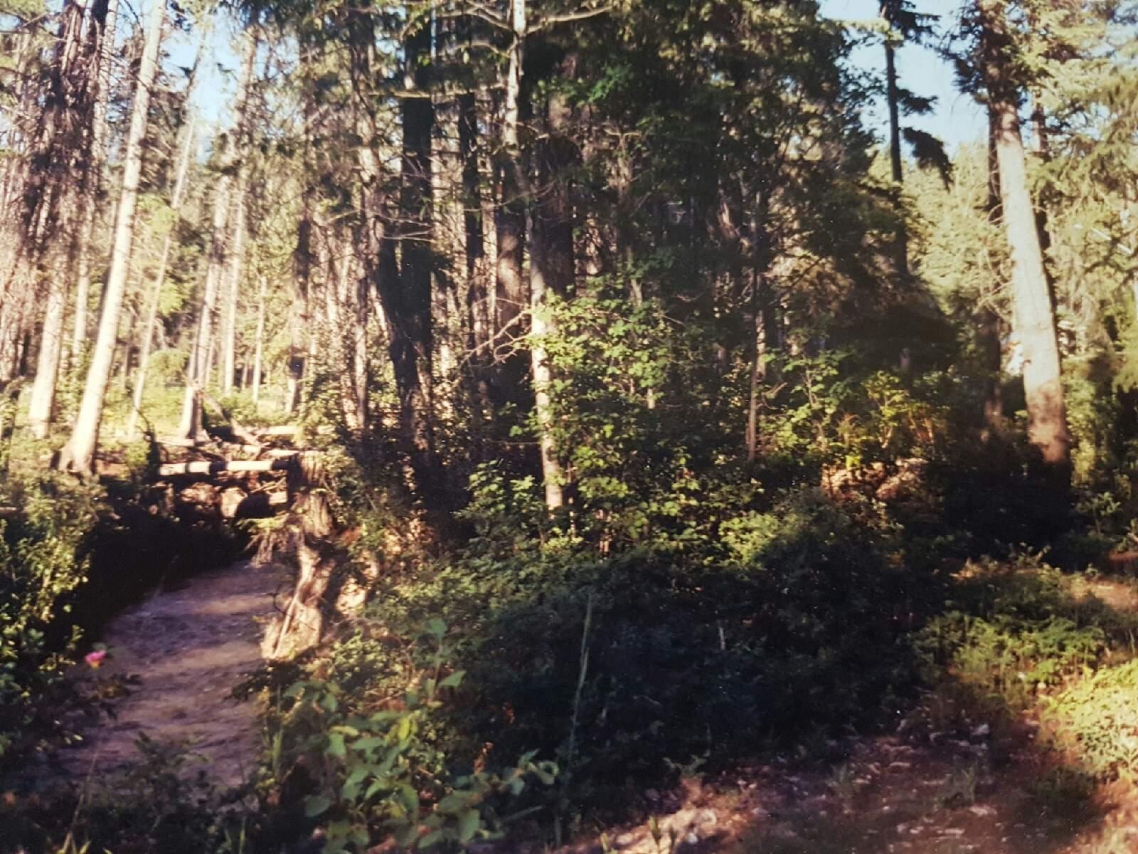 Lot 19 Victoria Avenue, Windermere, British Columbia  V0B 2L0 - Photo 10 - 2475794