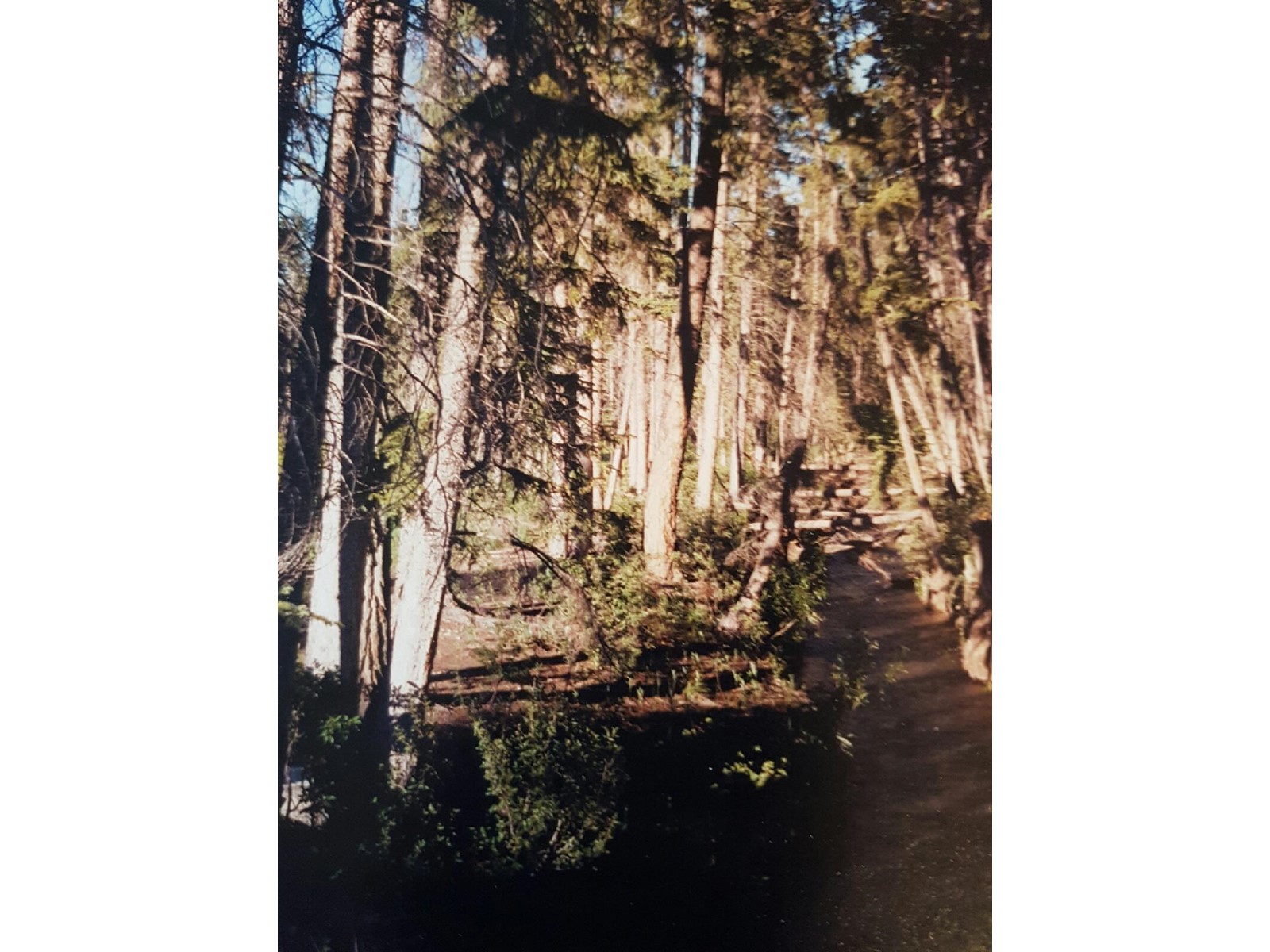 Lot 19 Victoria Avenue, Windermere, British Columbia  V0B 2L0 - Photo 11 - 2475794