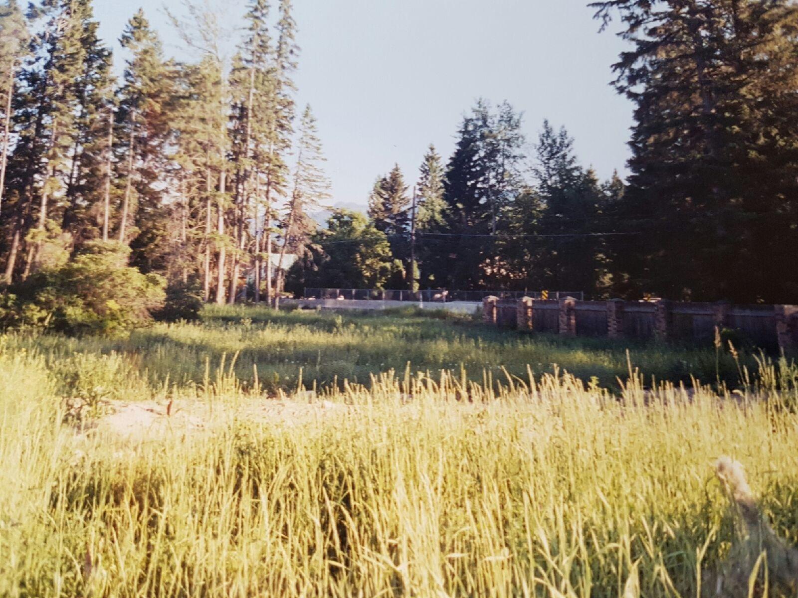 Lot 19 Victoria Avenue, Windermere, British Columbia  V0B 2L0 - Photo 9 - 2475794