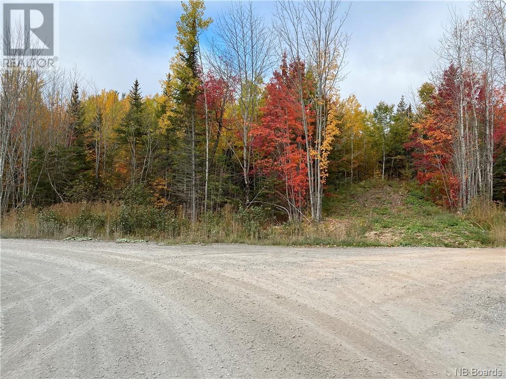 Lot Caleah Lane, Hanwell, New Brunswick  E3C 1N9 - Photo 12 - NB097335