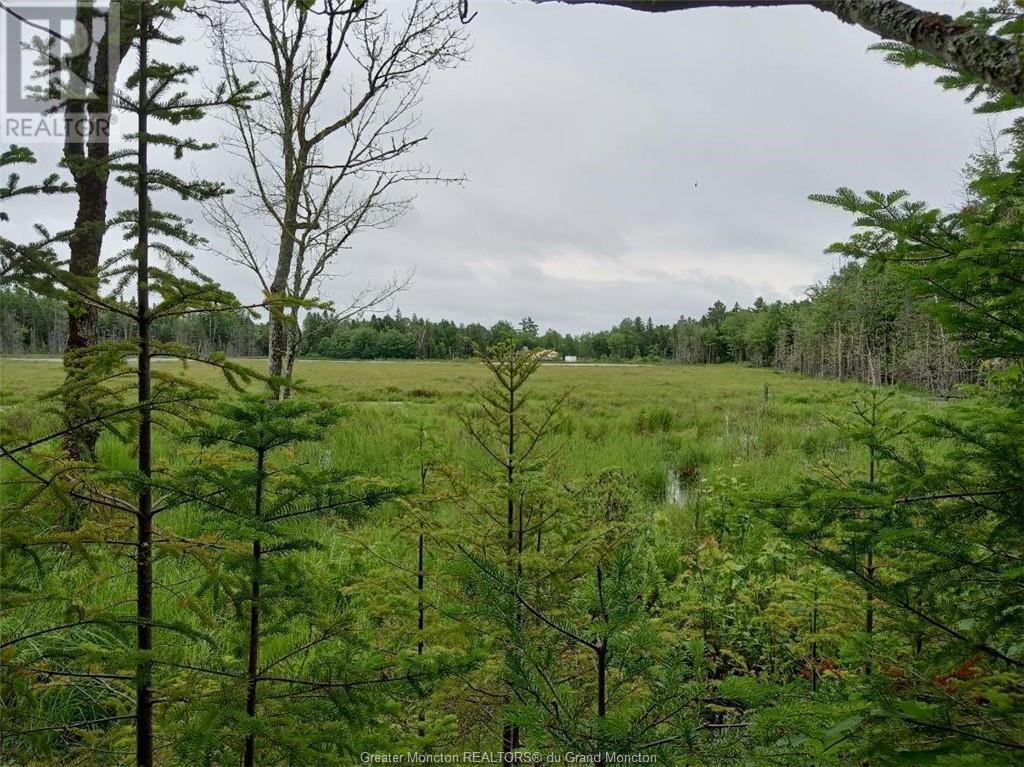 Lot 10 Richibuto Rd, Noonan, New Brunswick  E4A 7H4 - Photo 1 - M158340