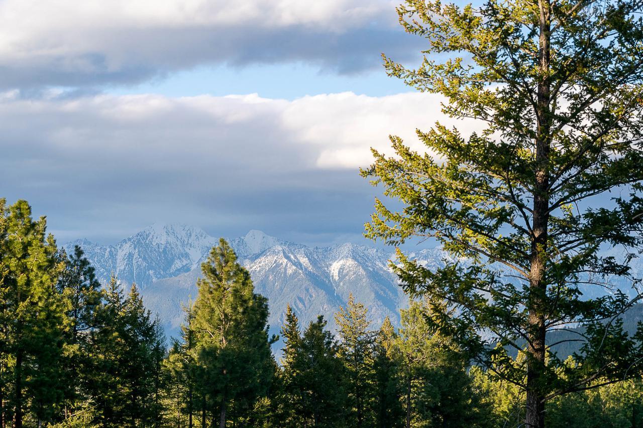 148 The Whins, Cranbrook, British Columbia  V1C 0B4 - Photo 10 - 2475833