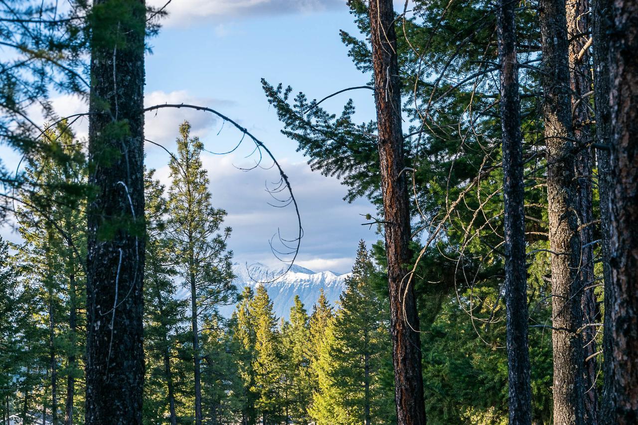 148 The Whins, Cranbrook, British Columbia  V1C 0B4 - Photo 9 - 2475833