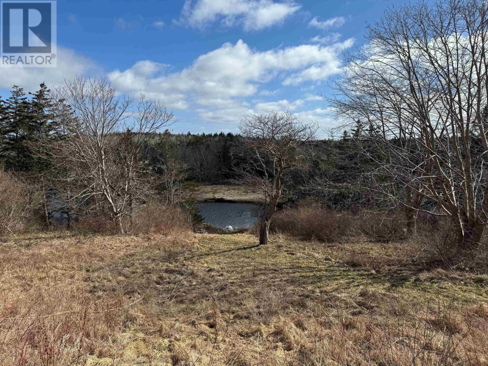 2521 Highway 334, Wedgeport, Nova Scotia  B0W 1B0 - Photo 6 - 202405794