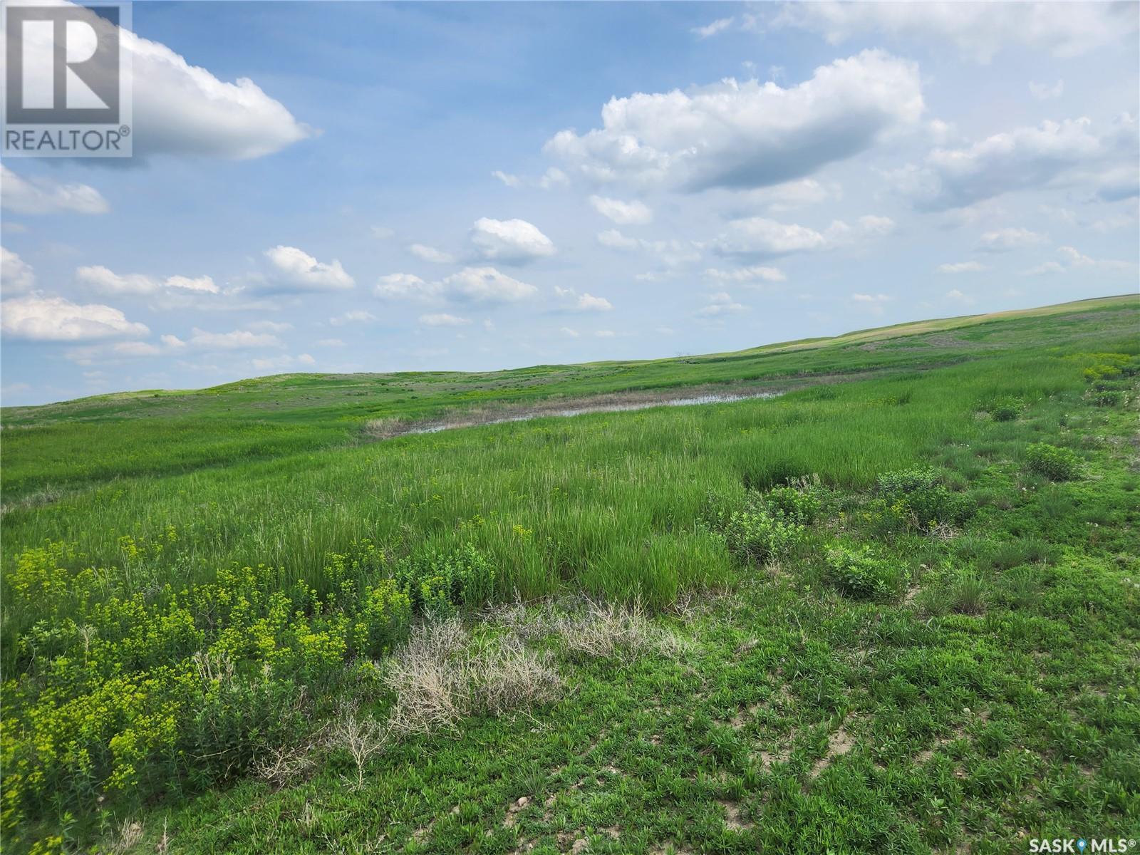 Bath Grassland, Wheatlands Rm No. 163, Saskatchewan  S0H 3K0 - Photo 8 - SK963616