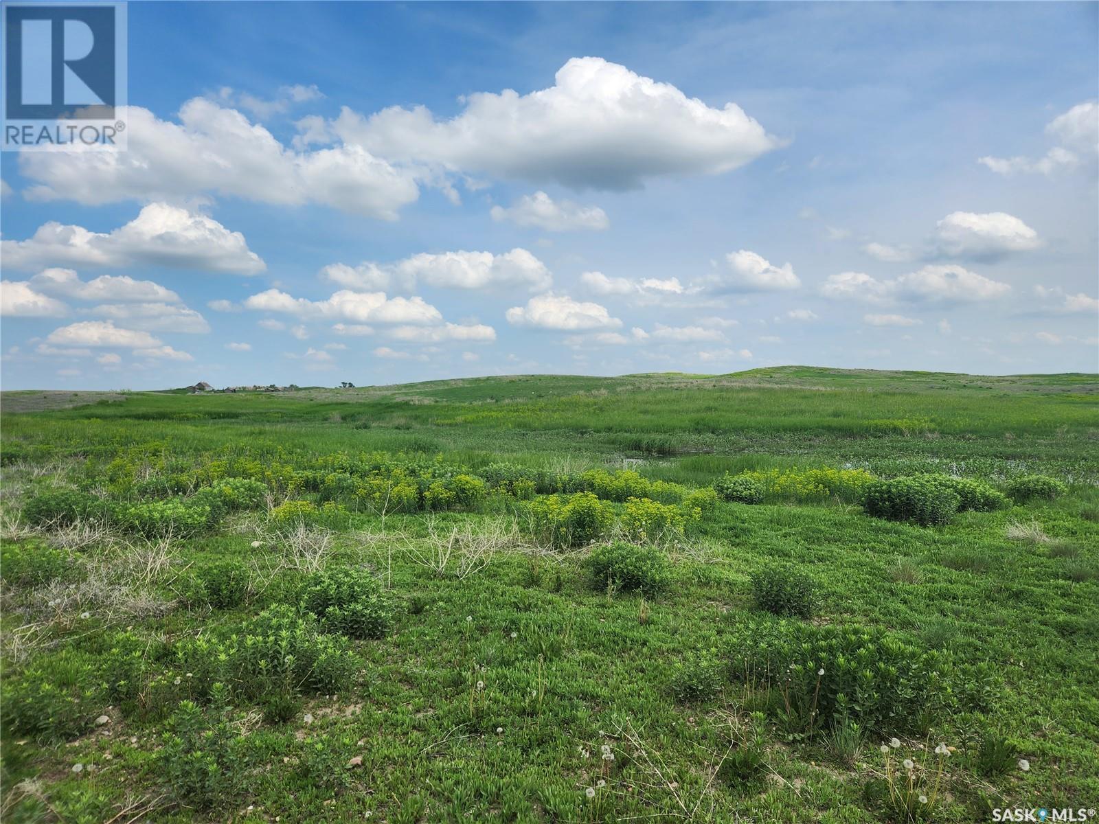 Bath Grassland, Wheatlands Rm No. 163, Saskatchewan  S0H 3K0 - Photo 7 - SK963616