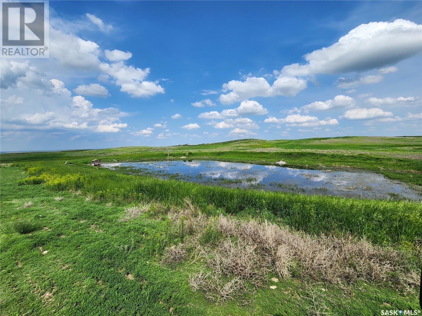 Bath Grassland, Wheatlands Rm No. 163, Saskatchewan  S0H 3K0 - Photo 10 - SK963616