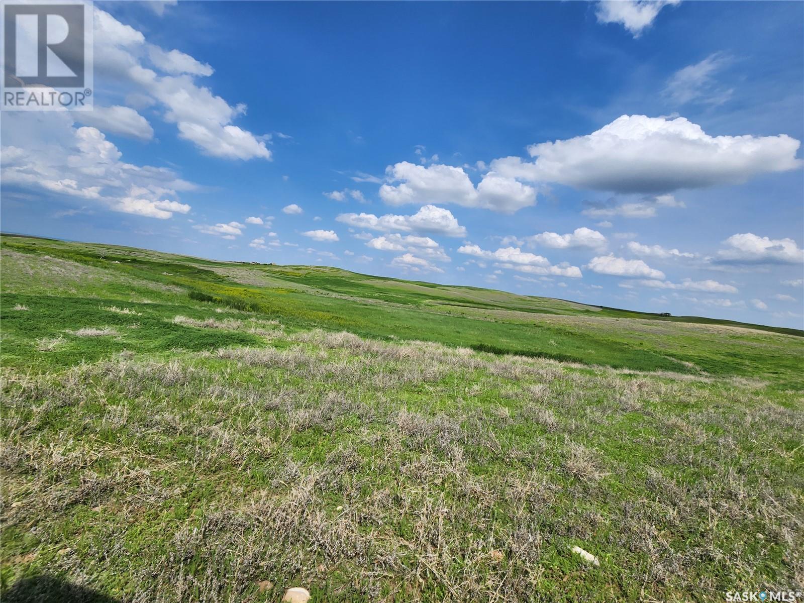 Bath Grassland, Wheatlands Rm No. 163, Saskatchewan  S0H 3K0 - Photo 11 - SK963616