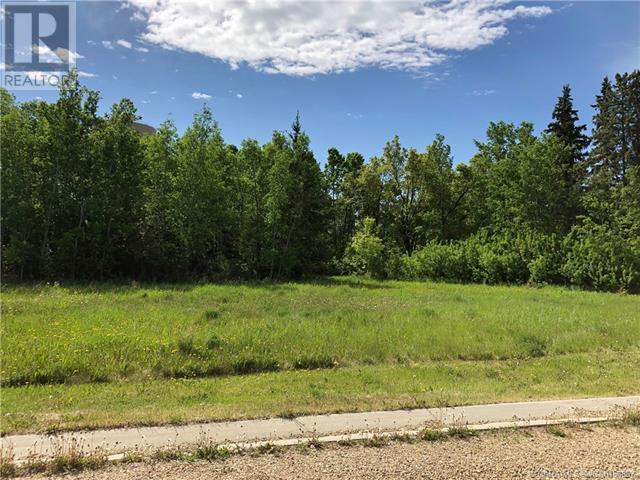 Lot 5 44 Avenueclose, Alix, Alberta  T0C 0B0 - Photo 3 - A2106668