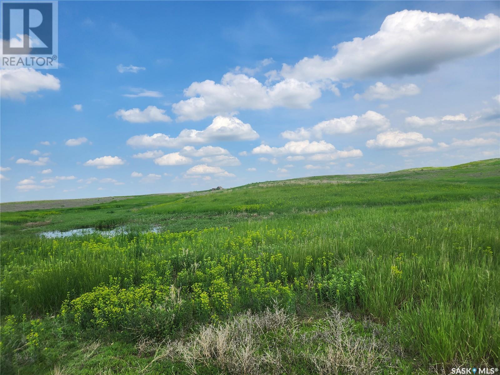Bath Grassland, Wheatlands Rm No. 163, Saskatchewan  S0H 3K0 - Photo 9 - SK963616