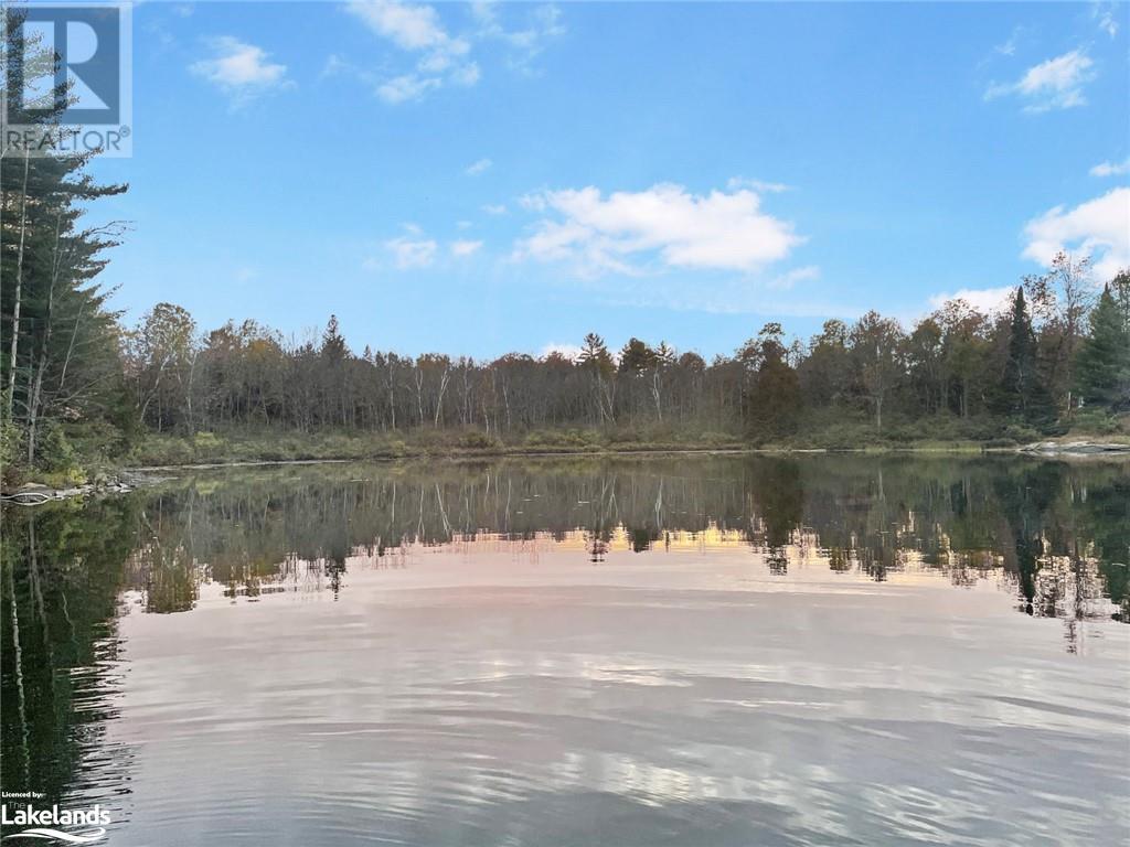 1021 Obelisk Trail, Minden, Ontario  K0M 2K0 - Photo 41 - 40564180