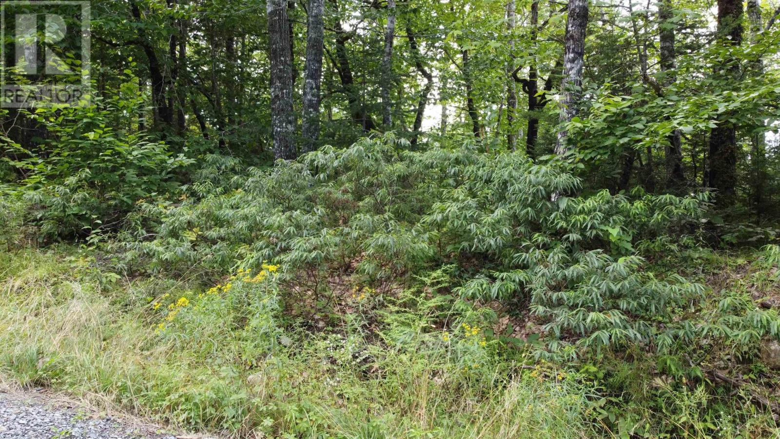 42 Uhlman Point Road, Molega, Nova Scotia  B0T 1E0 - Photo 2 - 202405815