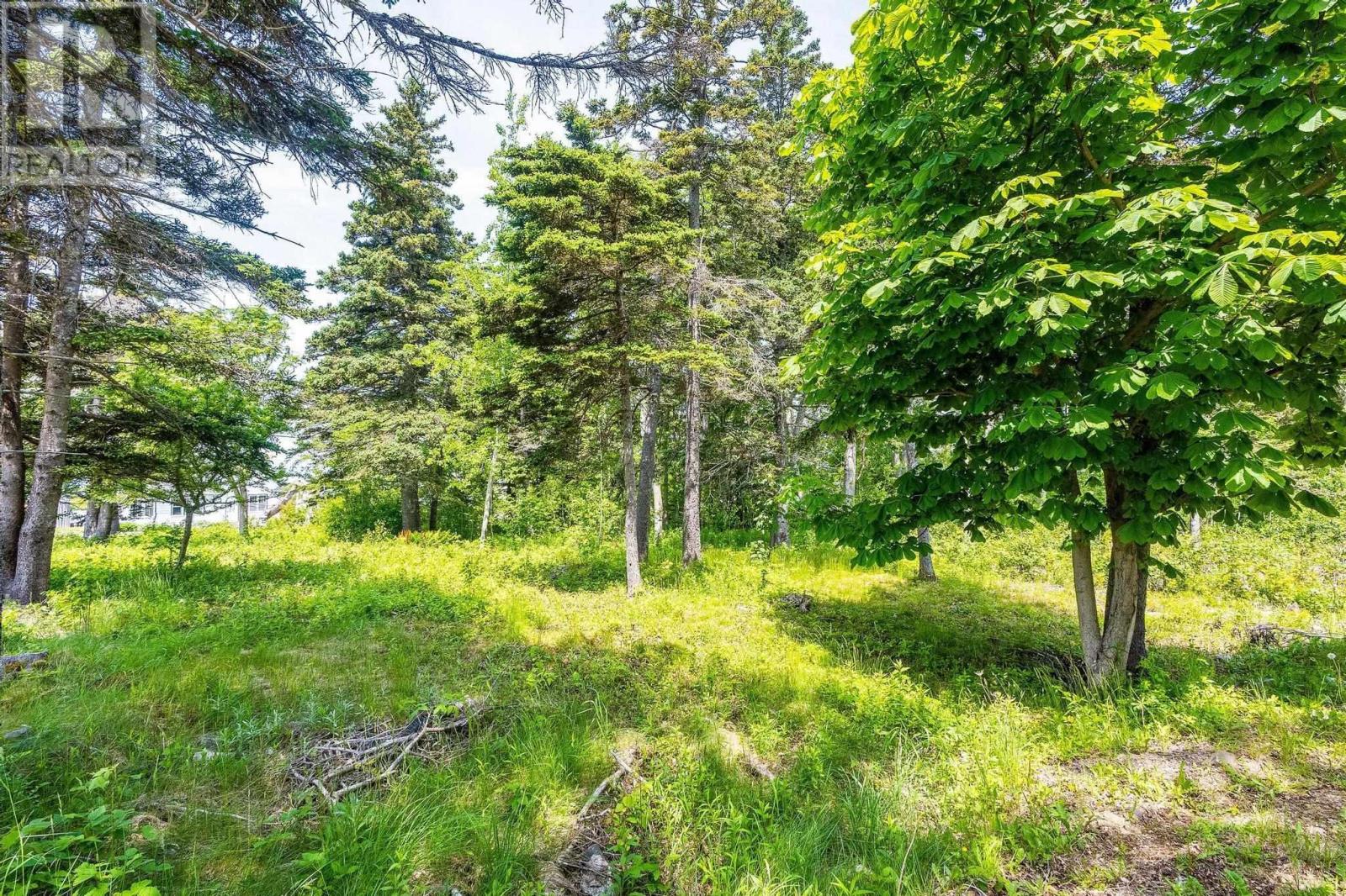 15 Mcmurtry Drive, Margaretsville, Nova Scotia  B0S 1P0 - Photo 7 - 202405833