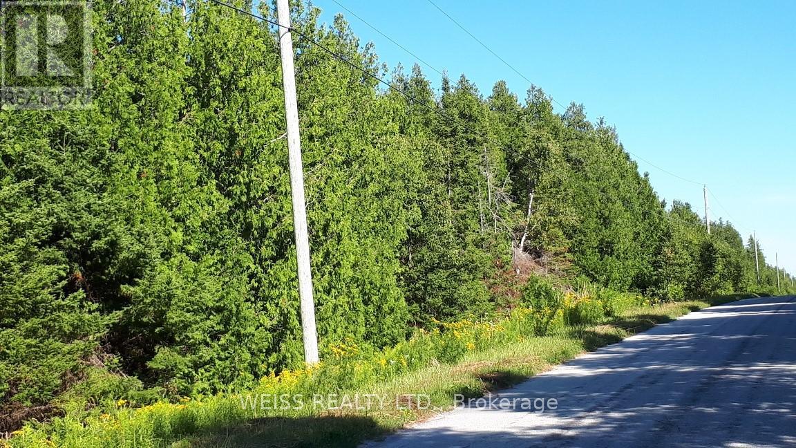 Pt Lt40 Cape Hurd Road, Northern Bruce Peninsula, Ontario  N0H 2R0 - Photo 2 - X8191416