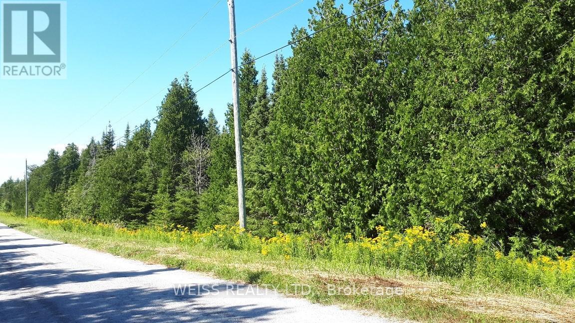 Pt Lt40 Cape Hurd Road, Northern Bruce Peninsula, Ontario  N0H 2R0 - Photo 3 - X8191416