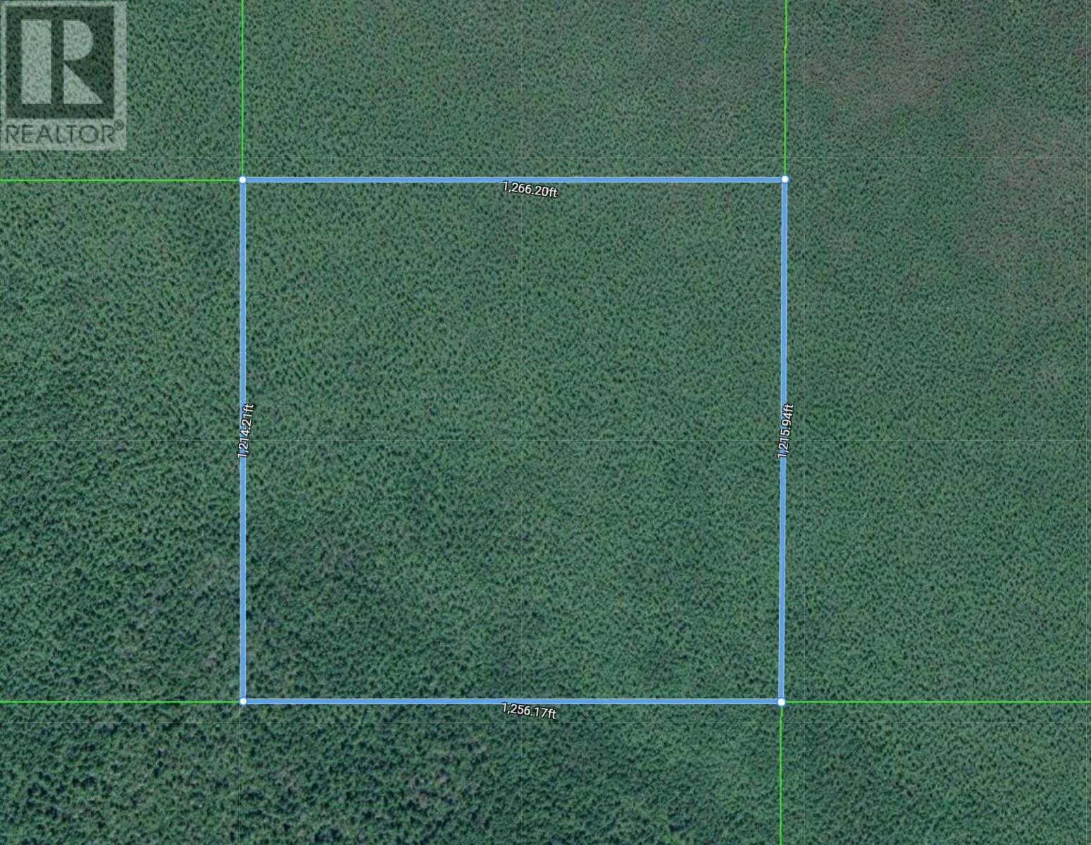Pcl 19617 Fadden Rd, Rainy River, Ontario  P0W 1L0 - Photo 2 - TB240710