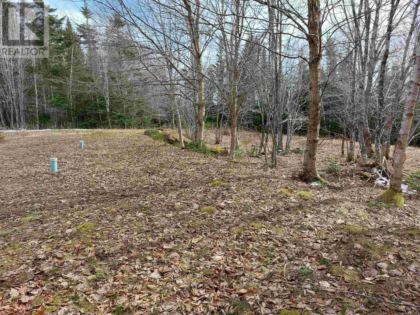 Lot 8 Dorothy Robinson Dr., Cleveland, Nova Scotia  B0E 1J0 - Photo 10 - 202405886