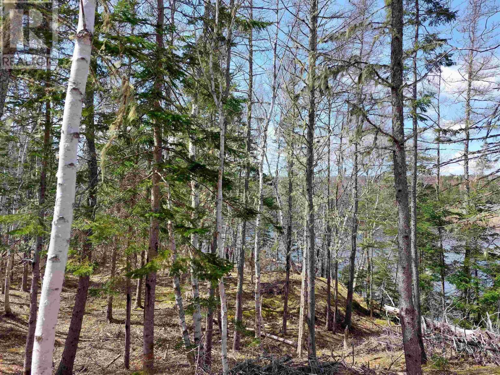 Lot 8 Dorothy Robinson Dr., Cleveland, Nova Scotia  B0E 1J0 - Photo 15 - 202405886