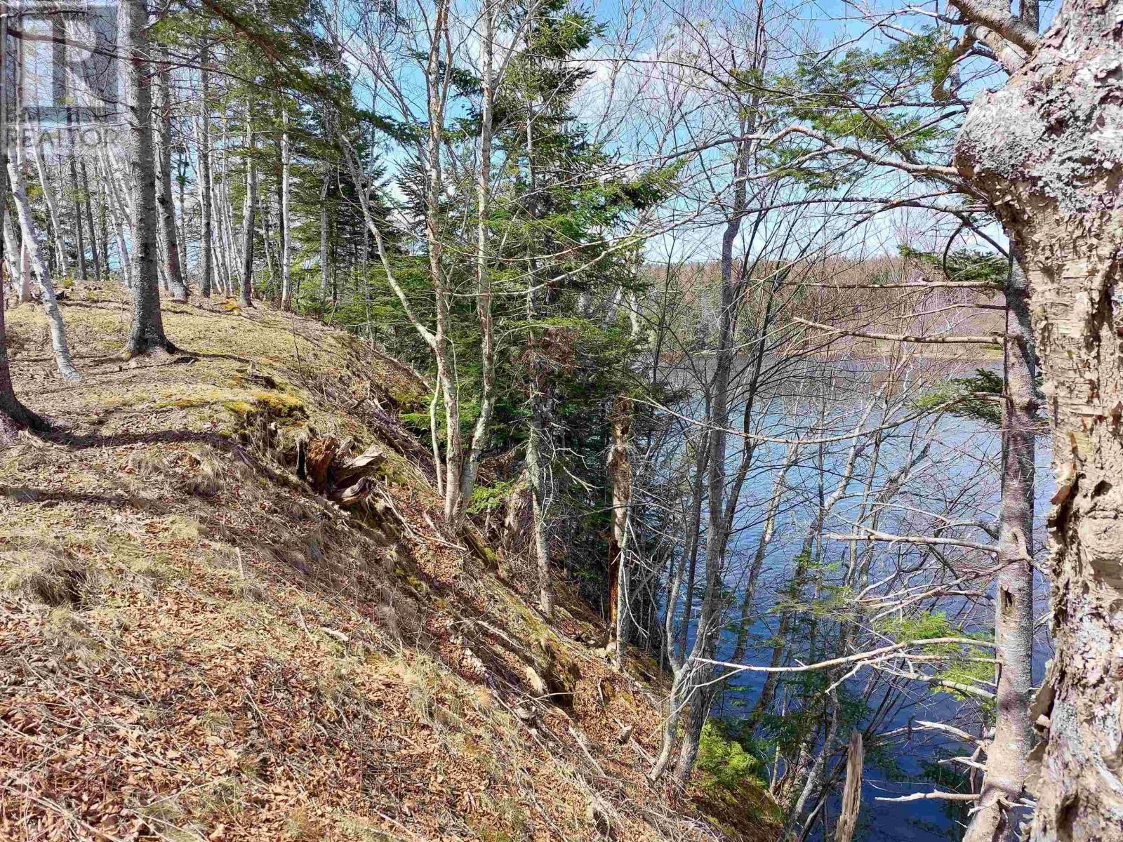 Lot 8 Dorothy Robinson Dr., Cleveland, Nova Scotia  B0E 1J0 - Photo 16 - 202405886