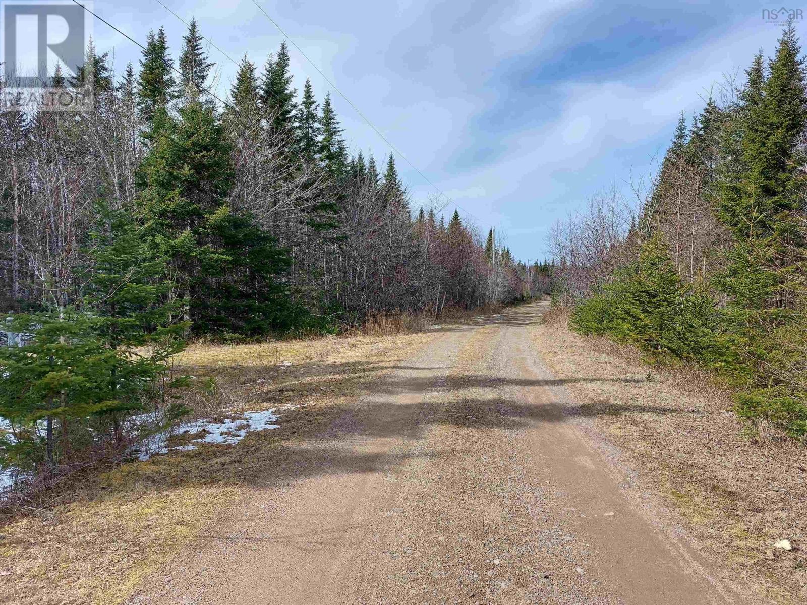 Lot 8 Dorothy Robinson Dr., Cleveland, Nova Scotia  B0E 1J0 - Photo 3 - 202405886