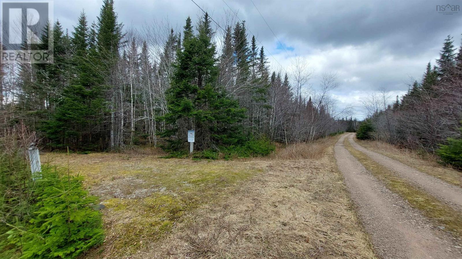 Lot 8 Dorothy Robinson Dr., Cleveland, Nova Scotia  B0E 1J0 - Photo 5 - 202405886