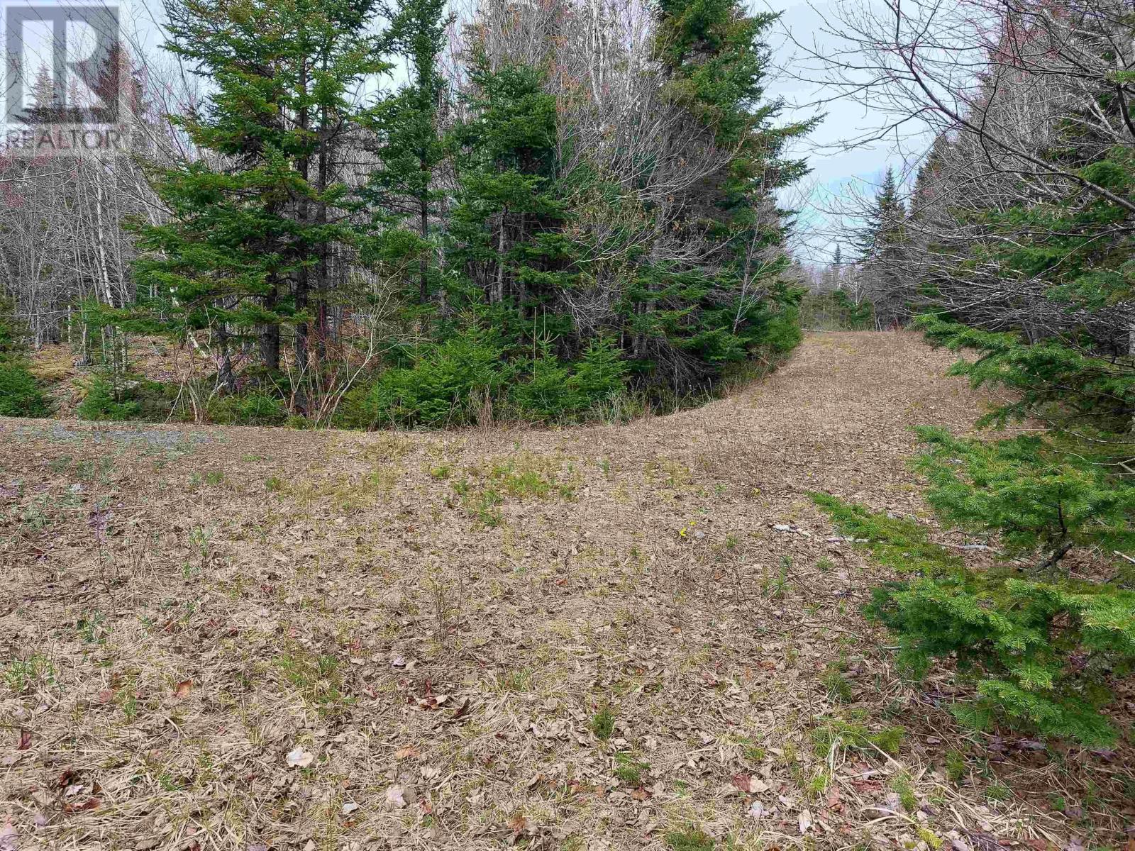 Lot 8 Dorothy Robinson Dr., Cleveland, Nova Scotia  B0E 1J0 - Photo 6 - 202405886