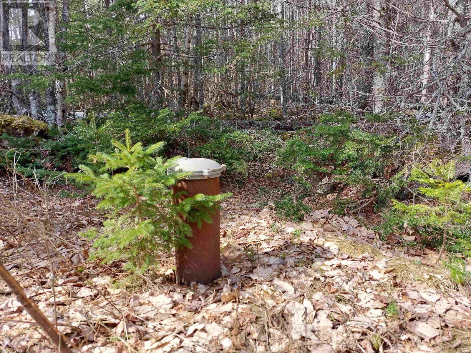 Lot 8 Dorothy Robinson Dr., Cleveland, Nova Scotia  B0E 1J0 - Photo 7 - 202405886