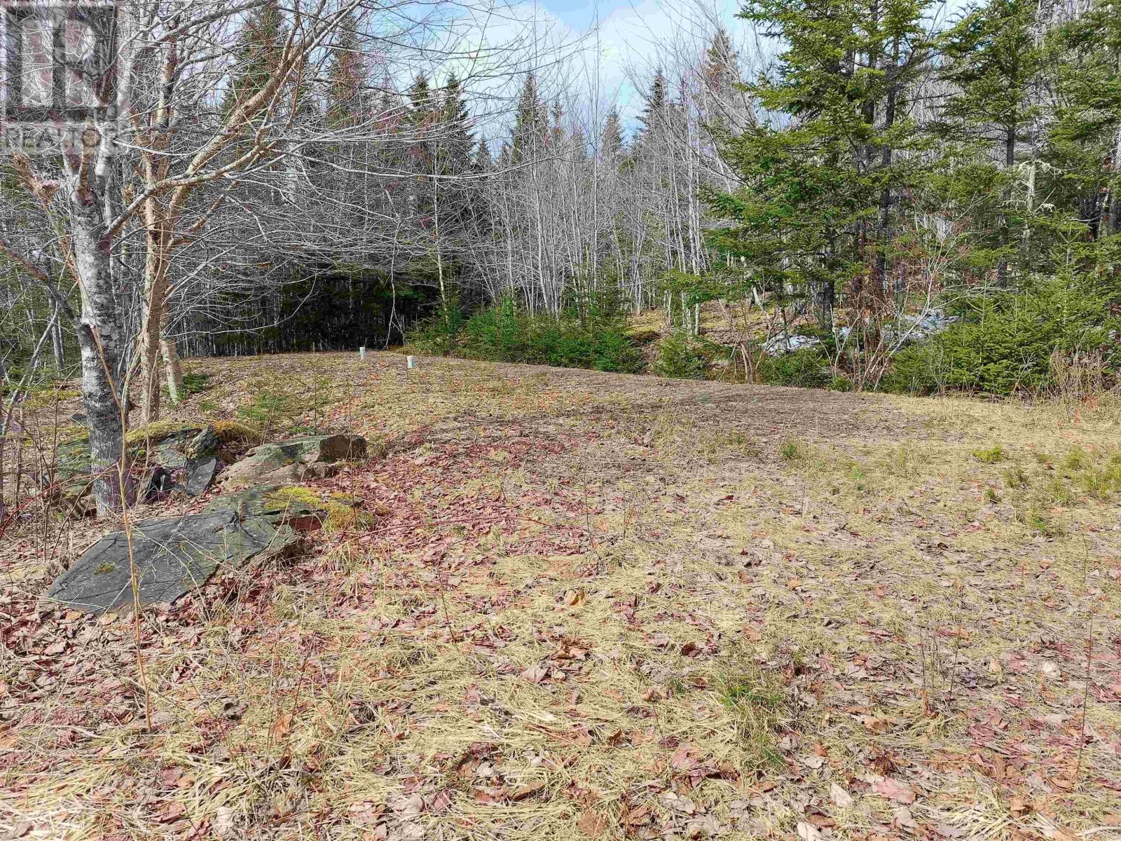 Lot 8 Dorothy Robinson Dr., Cleveland, Nova Scotia  B0E 1J0 - Photo 9 - 202405886