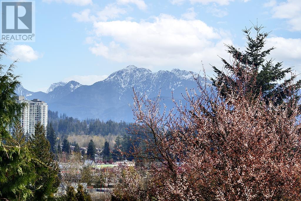 1025 Ogden Street, Coquitlam, British Columbia  V3C 3V8 - Photo 4 - R2865238