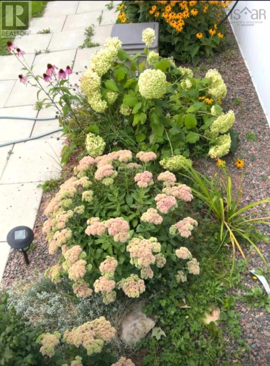 8 Sunrise Court, Upper Onslow, Nova Scotia  B6L 0E9 - Photo 12 - 202405913