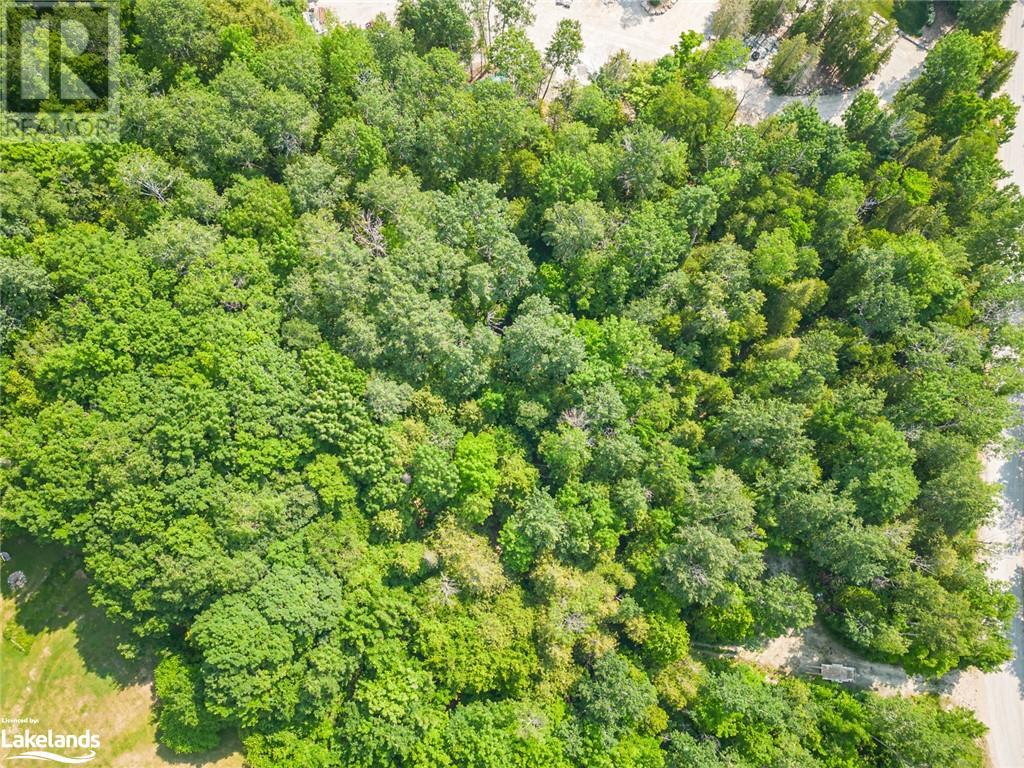 Part 7 Lot 28 Harbour Beach Drive, Meaford, Ontario  N4L 1W5 - Photo 4 - 40564718