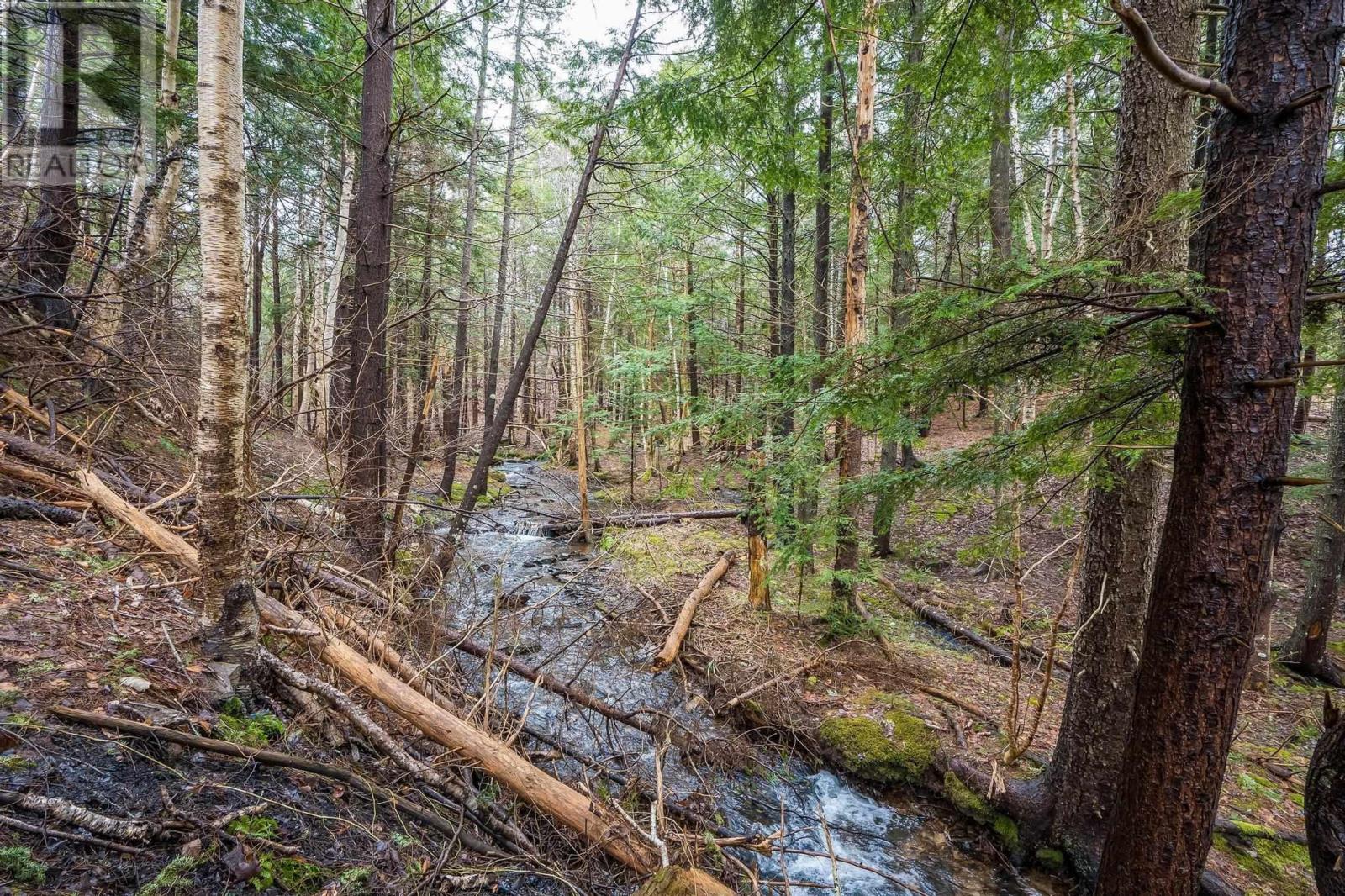 51 Shelby Crescent, New Minas, Nova Scotia  B4N 5J1 - Photo 22 - 202405923