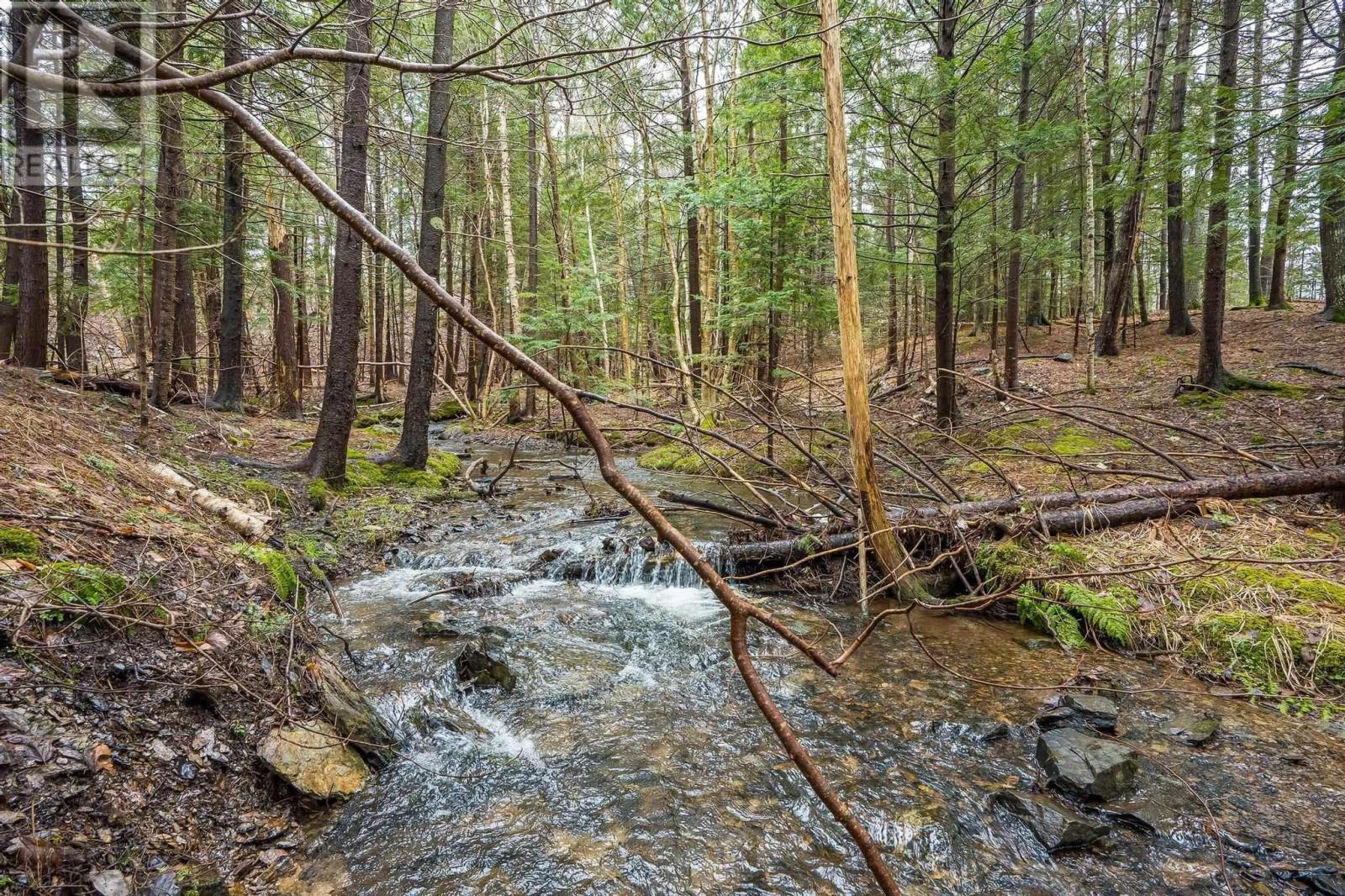 51 Shelby Crescent, New Minas, Nova Scotia  B4N 5J1 - Photo 23 - 202405923